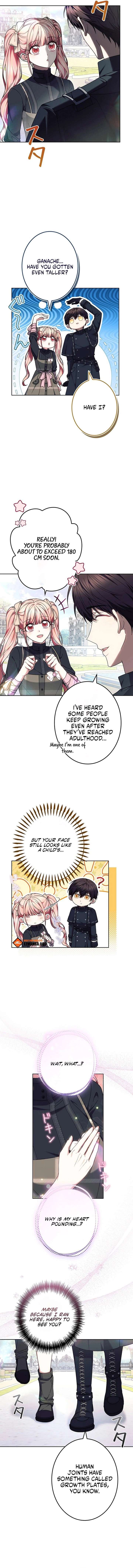 The Super-Strong Noble Lady Wants to Be Truly Weak Chapter 30 - Page 11