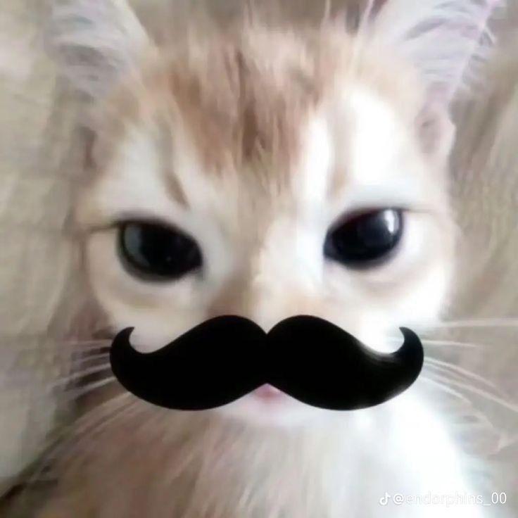 The Superhuman Era Chapter 101 - Page 29