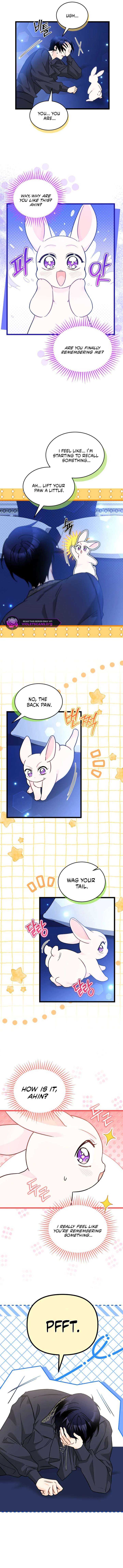 The Symbiotic Relationship Between the Rabbit and the Black Panther Chapter 199 - Page 8