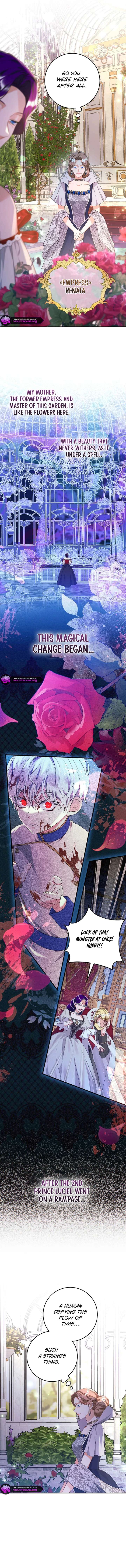 The Time-Limited Black Screen Supports My Breakup - Chapter 49 - 11