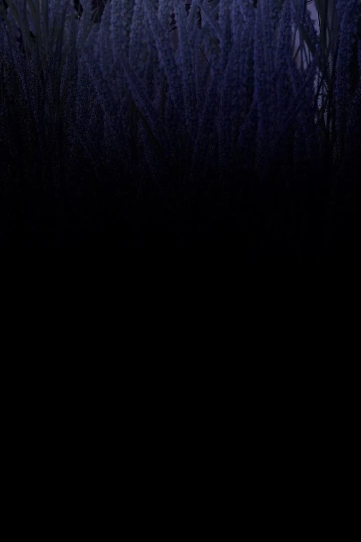 The Tutor’s Secret Sessions [Official] Chapter 38 - Page 106