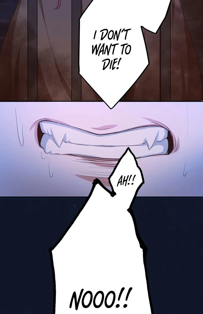 The Unhappy Poison Witch’s Happy Marriage - Chapter 13 - 104