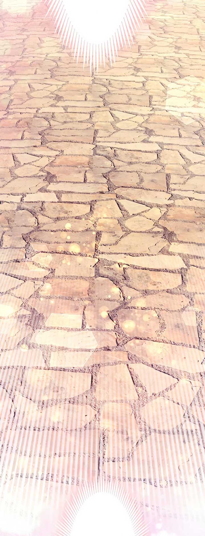 The Villainess Can’t Take Revenge on Her Reaper Father Chapter 6 - Page 61