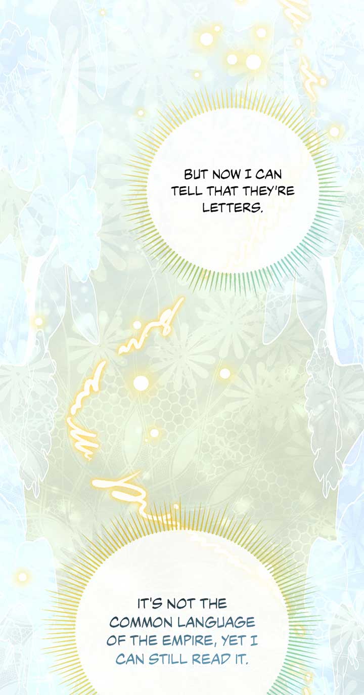 The Villainess Doesn’t Need A New Husband! - Chapter 42 - 17