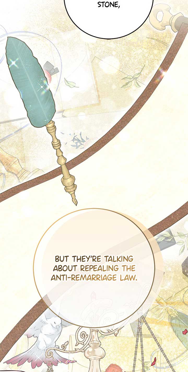 The Villainess Doesn’t Need A New Husband! - Chapter 43 - 64