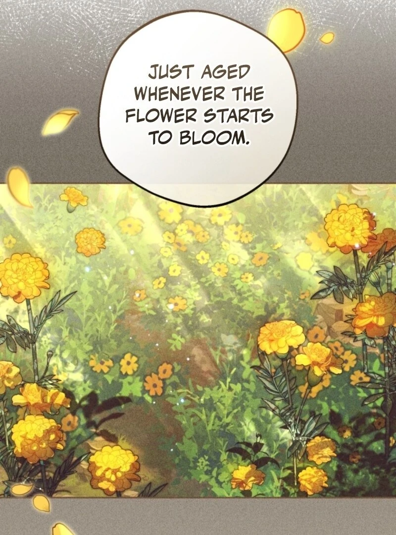 The Villainess Is Shy In Receiving Love Chapter 100 - Page 105