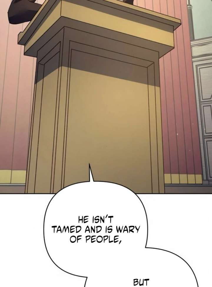 The Villainous Duke’s Pet Bird Chapter 50 - Page 5