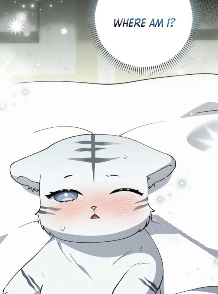 The White Tiger Princess is Not in Danger Chapter 10 - Page 6