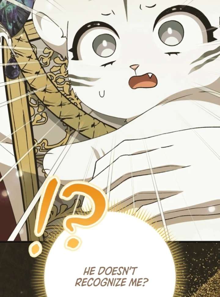 The White Tiger Princess is Not in Danger Chapter 10 - Page 69