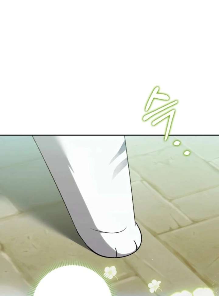 The White Tiger Princess is Not in Danger Chapter 17 - Page 36