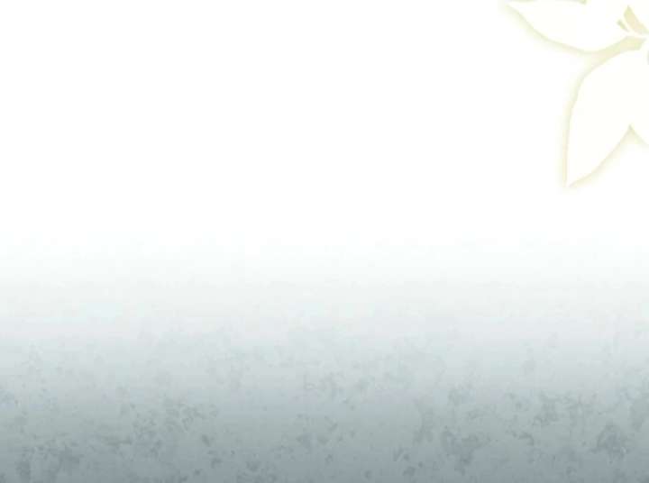 The White Tiger Princess is Not in Danger Chapter 17 - Page 118