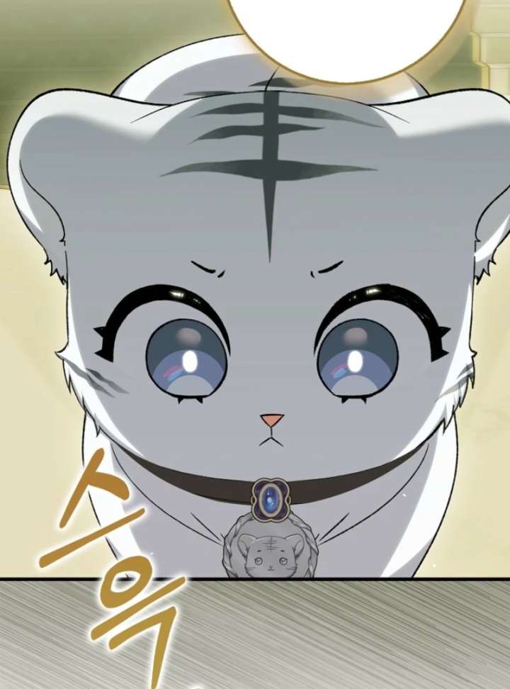 The White Tiger Princess is Not in Danger Chapter 18 - Page 27
