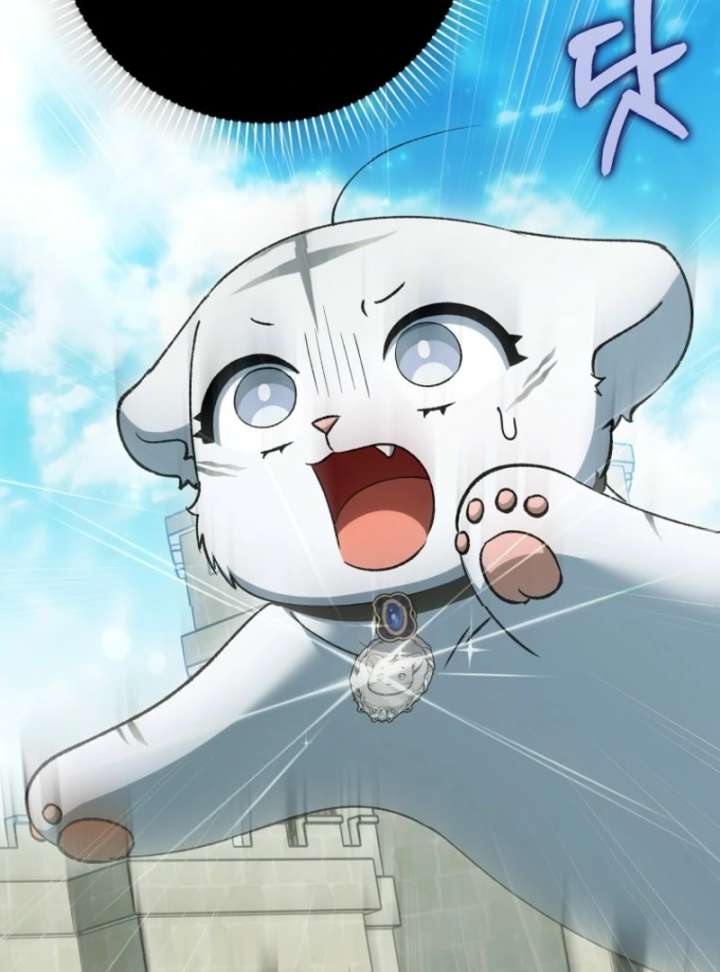 The White Tiger Princess is Not in Danger Chapter 18 - Page 90