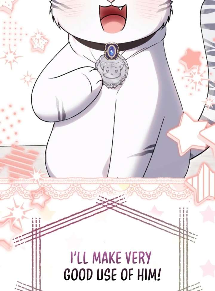 The White Tiger Princess is Not in Danger Chapter 19 - Page 17