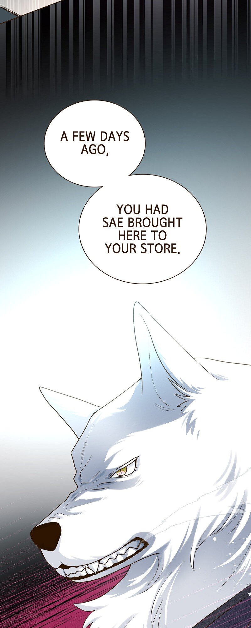 The White Wolf’s Bride Chapter 34 - Page 13