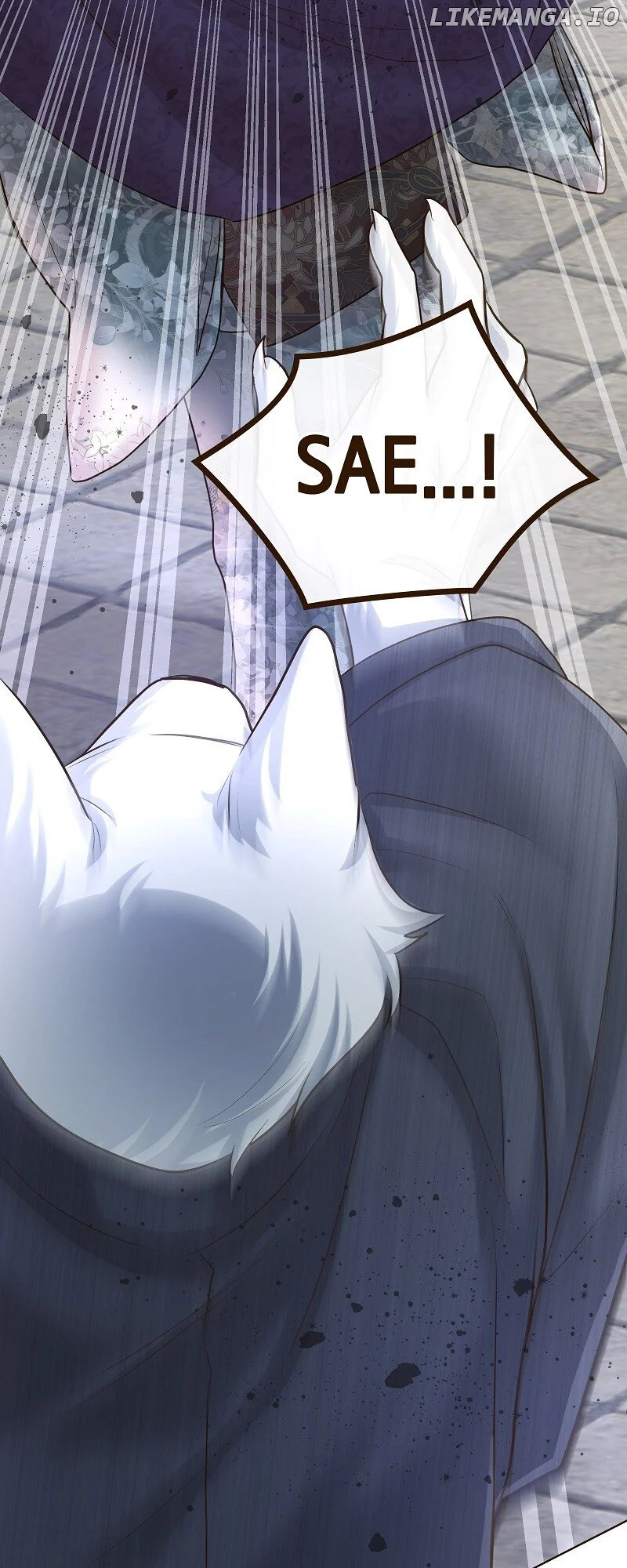 The White Wolf’s Bride Chapter 40 - Page 44