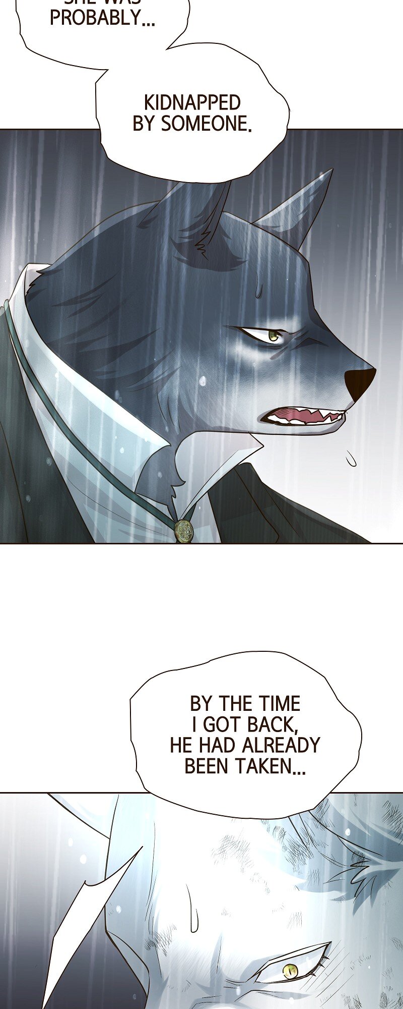 The White Wolf’s Bride Chapter 41 - Page 46