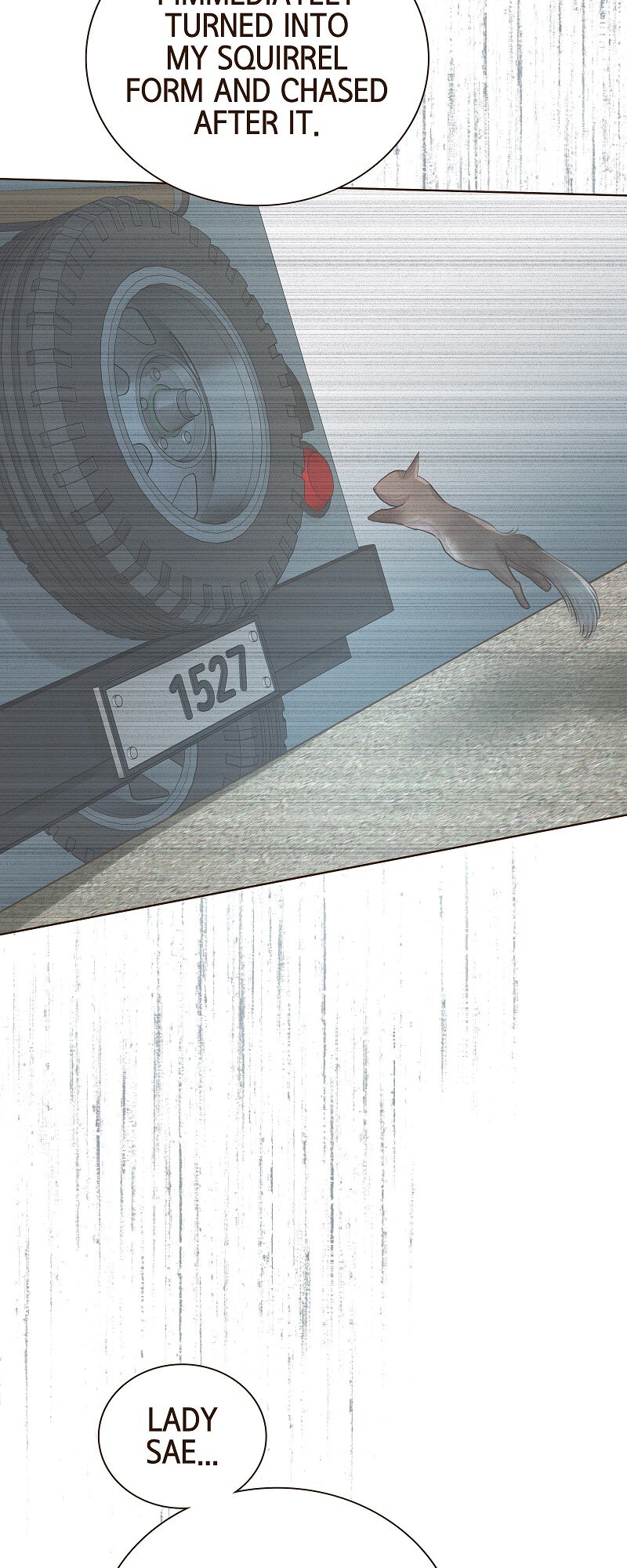 The White Wolf’s Bride Chapter 42 - Page 8