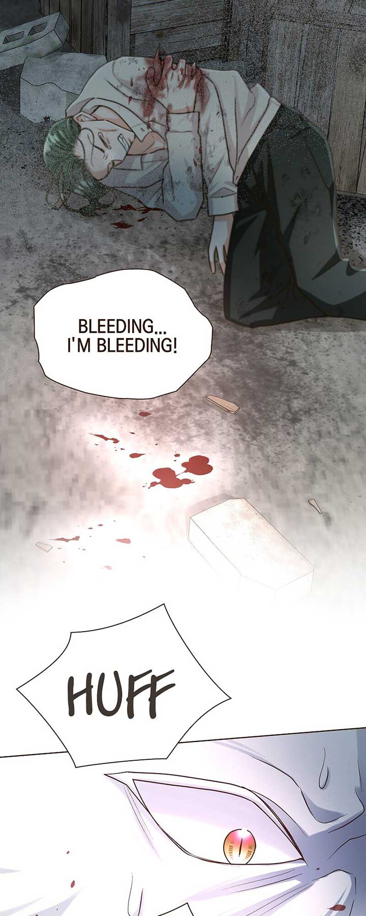 The White Wolf’s Bride Chapter 43 - Page 15