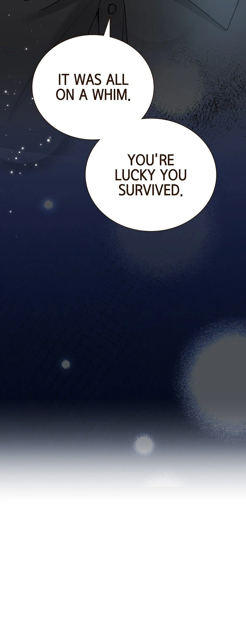 The White Wolf’s Bride Chapter 68 - Page 29