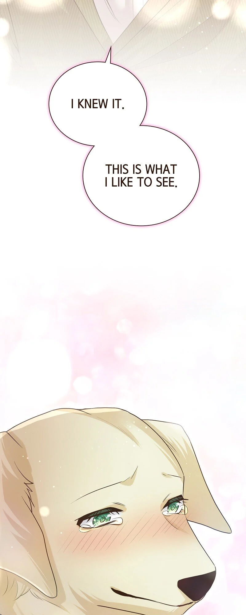 The White Wolf’s Bride Chapter 75 - Page 38