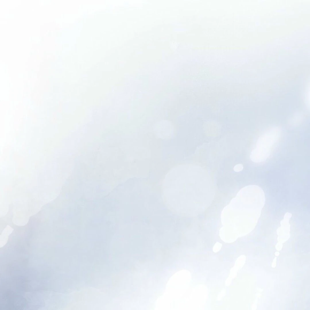 The White Wolf’s Bride Chapter 87 - Page 9