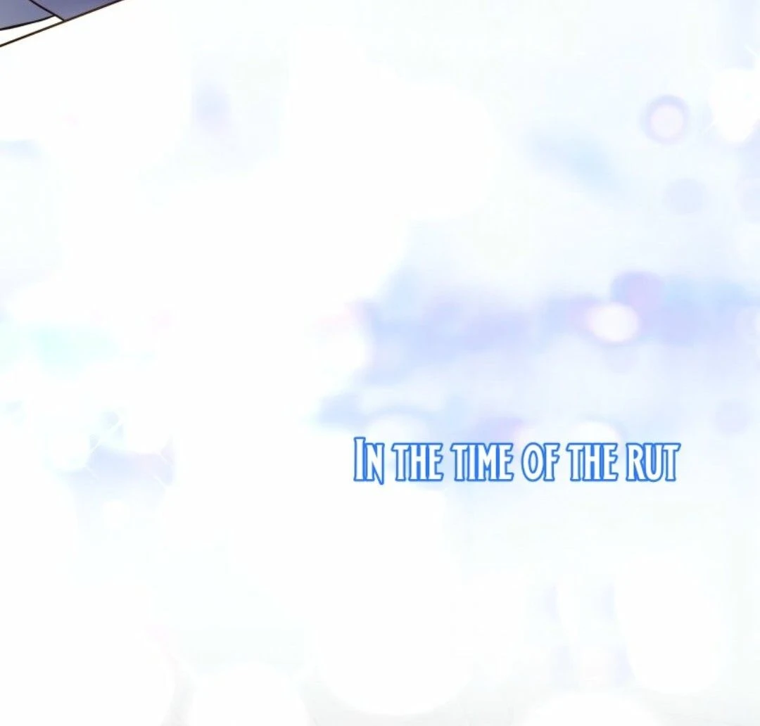 The White Wolf’s Bride Chapter 87 - Page 17