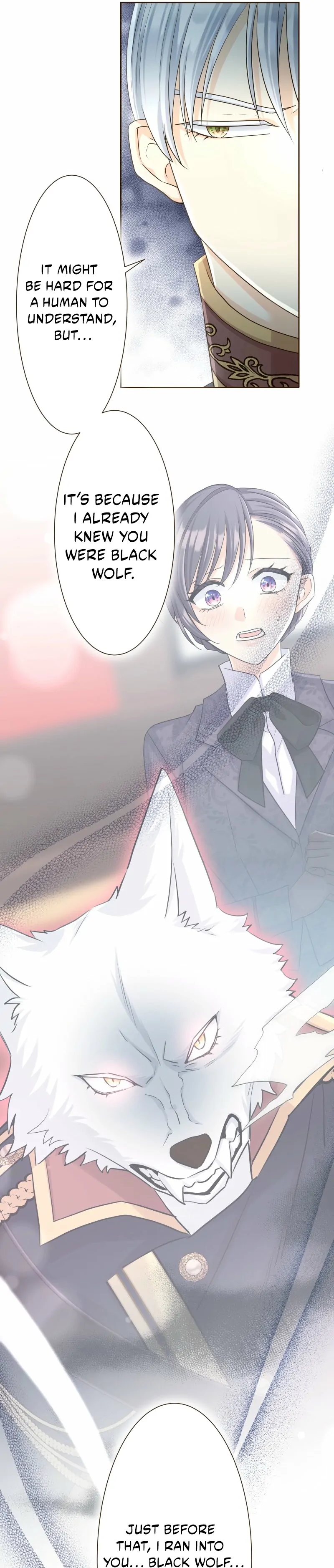 The White Wolf’s Bride Chapter 93 - Page 47