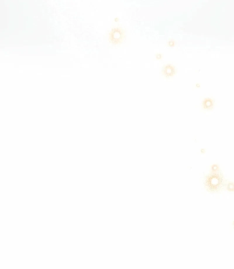 The White Wolf’s Bride Chapter 98 - Page 52