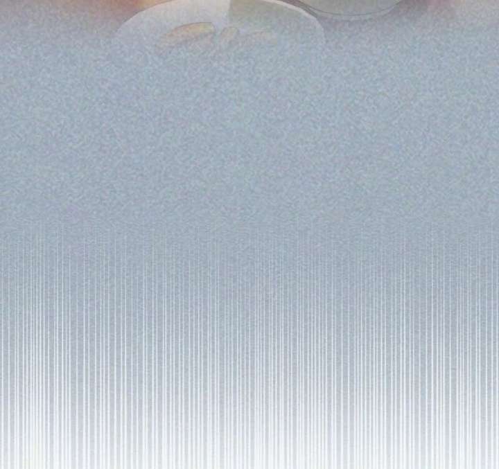 The Young Lady Is a Royal Chef Chapter 196 - Page 84