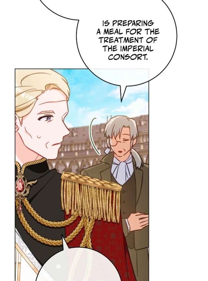 The Young Lady Is a Royal Chef Chapter 196 - Page 106