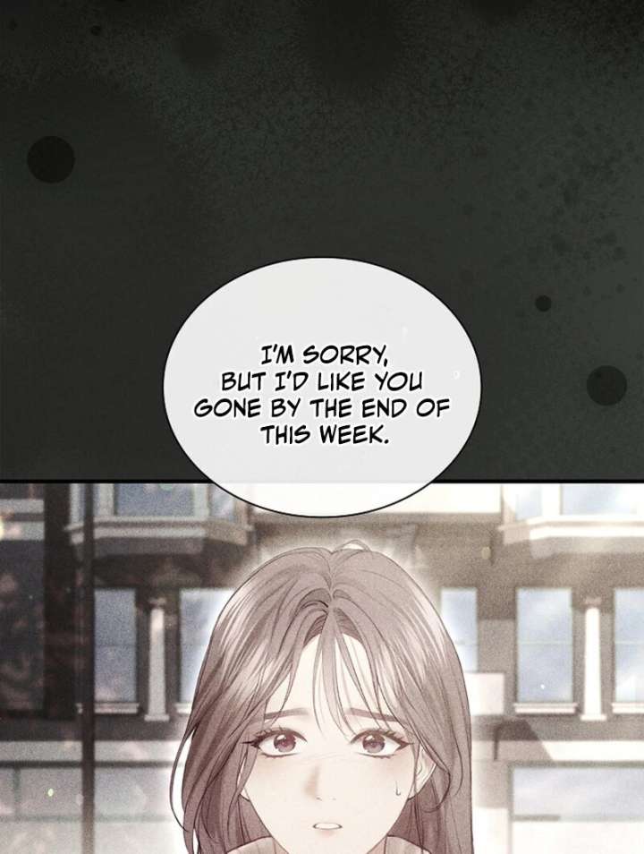 The Young Wife - Chapter 50 - 101