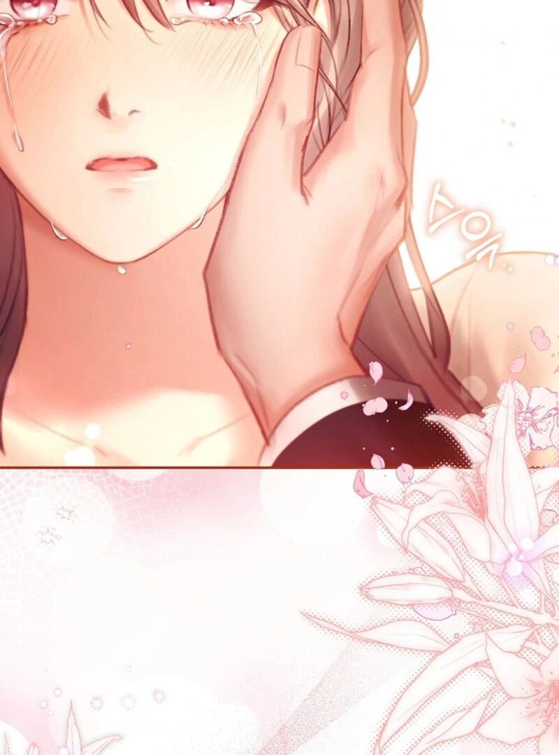 The Young Wife - Chapter 55 - 57