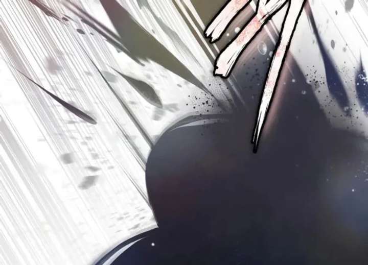 There’s No Such Thing as a Bad Hero in the World Chapter 56 - Page 13