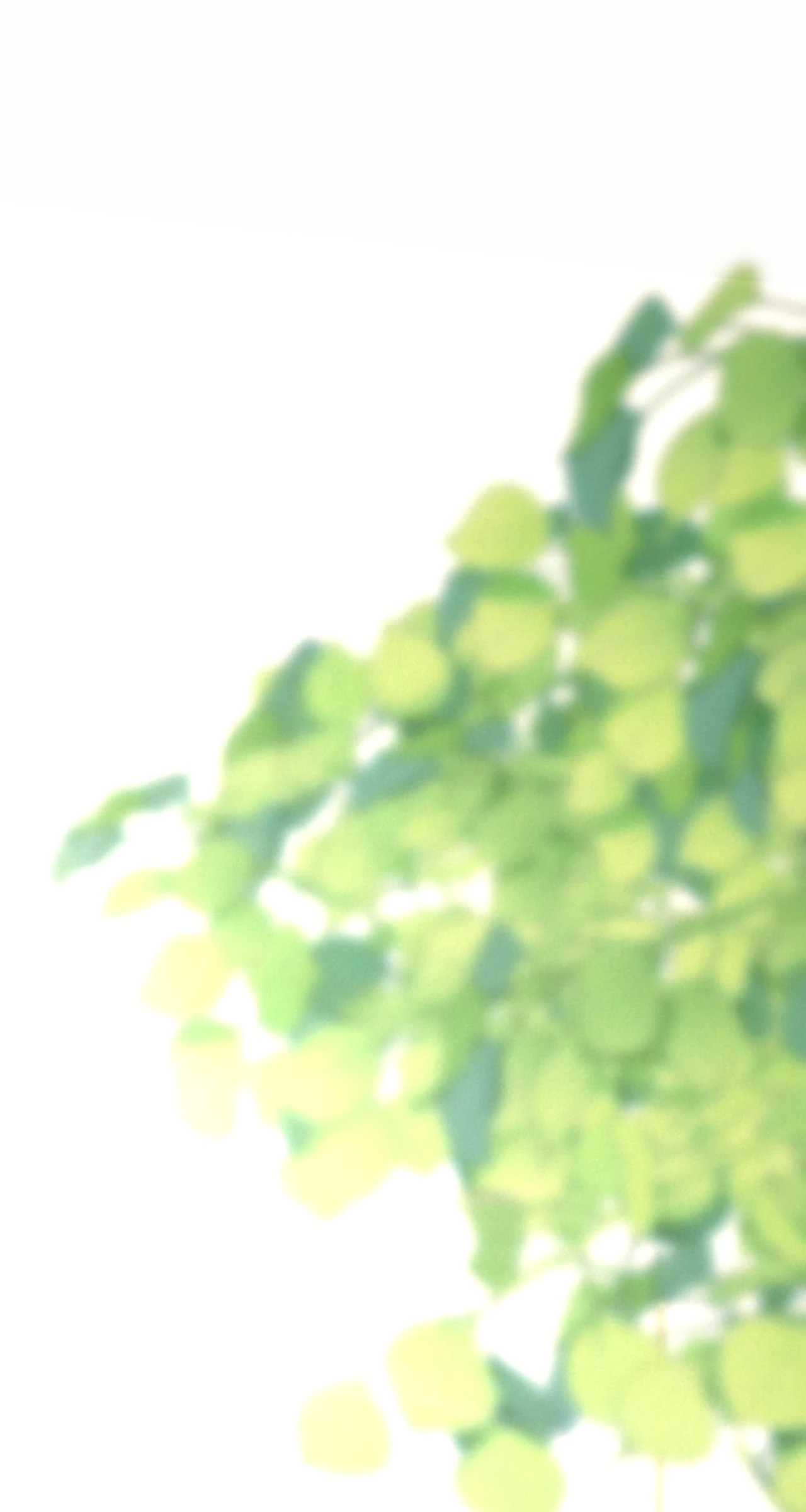 This Time, the Tears Were Mine Chapter 62 - Page 80