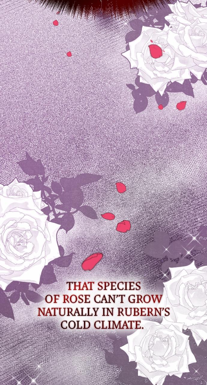 To Die or To Fall In Love Chapter 2 - Page 75