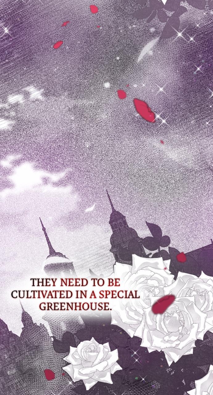 To Die or To Fall In Love Chapter 2 - Page 76