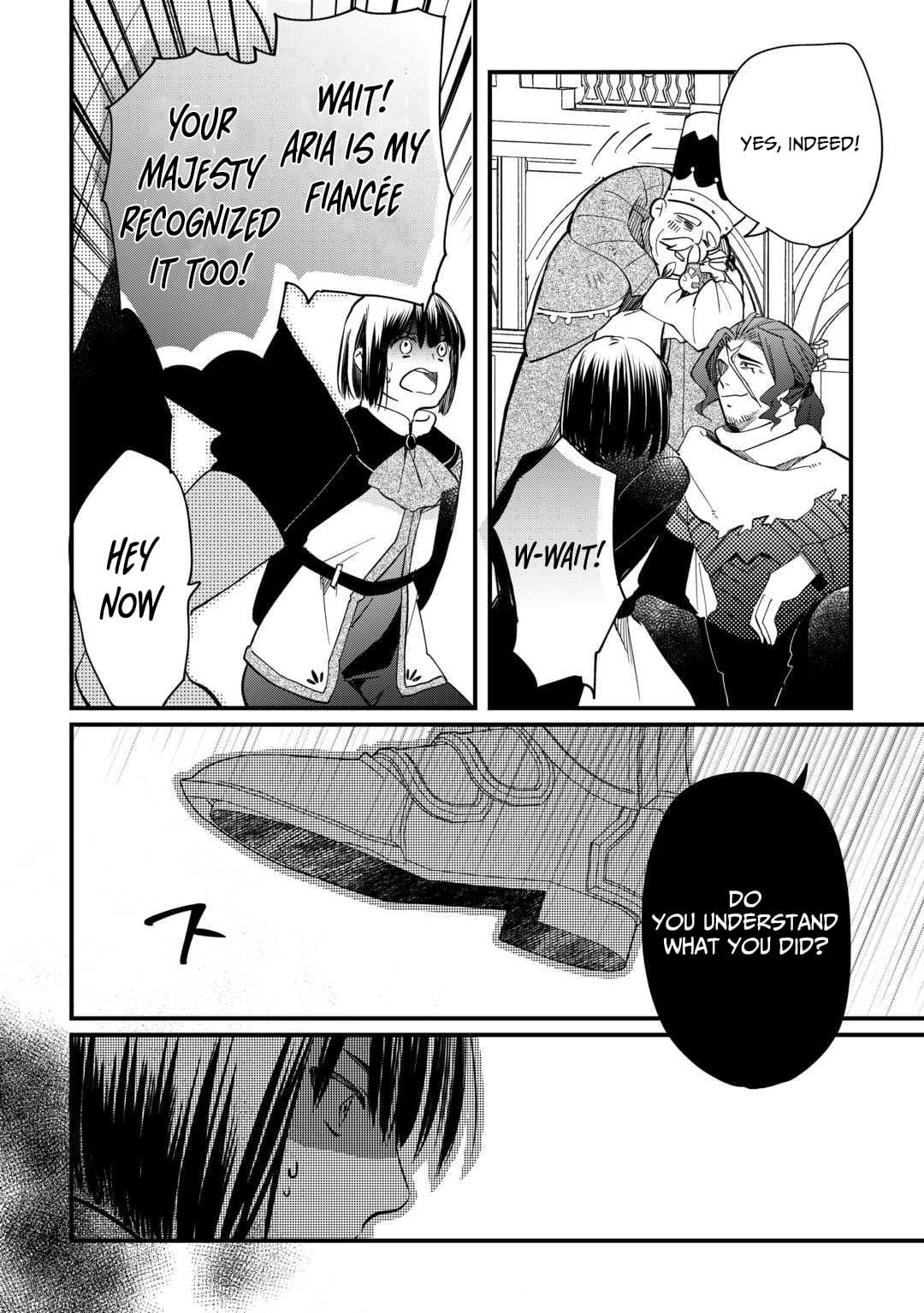 Tokage (Hontou wa Shinryuu) wo Shoukan Shita Seijuu Tsukai, Ryuu no Senaka de Kaitaku Life Chapter 19 - Page 23