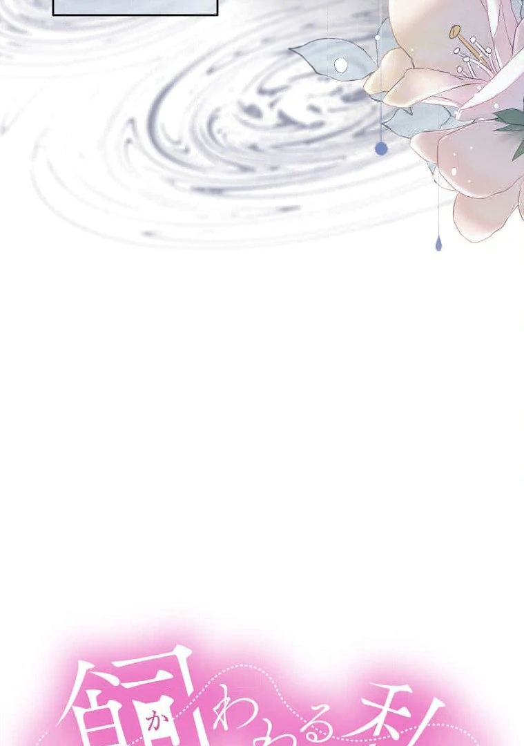 Trapped By The Crazy Twins - Chapter 13 - 9