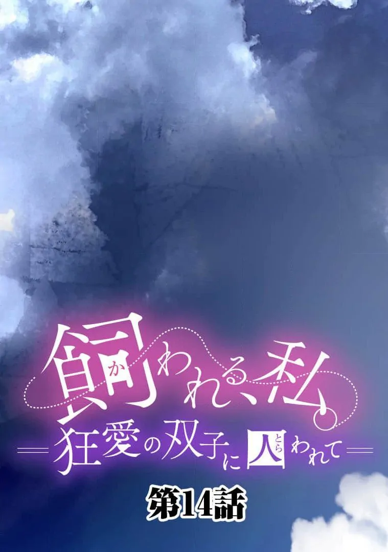 Trapped By The Crazy Twins - Chapter 14 - 4