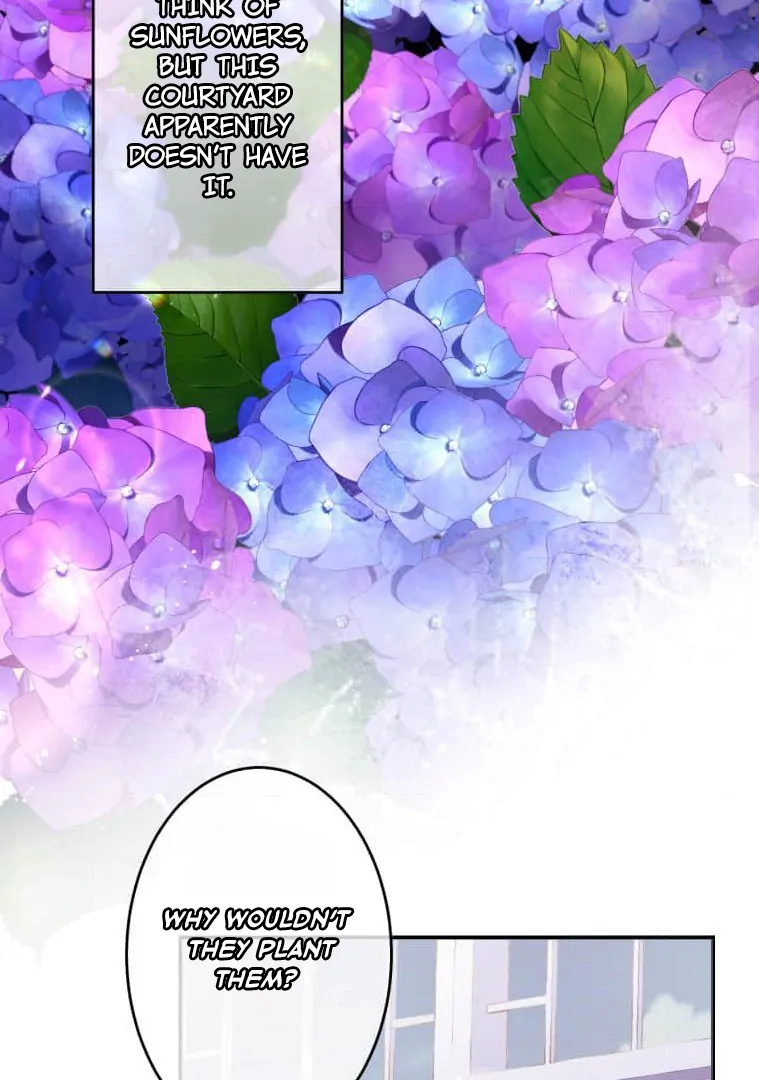 Trapped By The Crazy Twins - Chapter 14 - 7