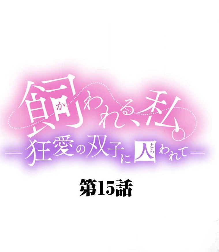 Trapped By The Crazy Twins - Chapter 15 - 20