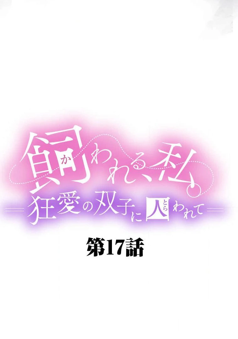 Trapped By The Crazy Twins Chapter 17 - Page 28