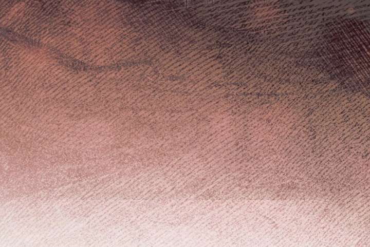 Try Begging Me Chapter 66 - Page 222