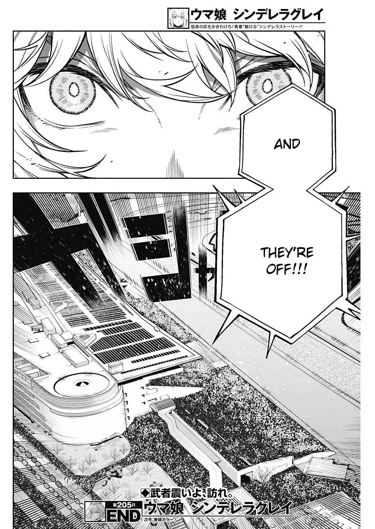 Uma Musume: Cinderella Gray Chapter 205 - Page 17