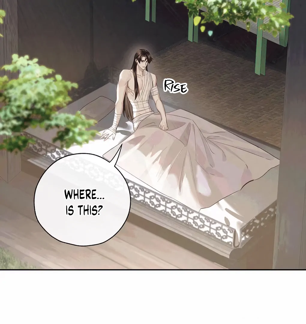 Was His Highness Assassinated Today? Chapter 2 - Page 12