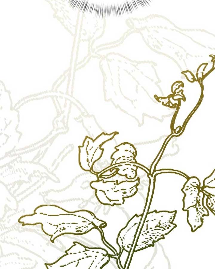 What Happens When the Second Male Lead Goes on Strike Chapter 96 - Page 230