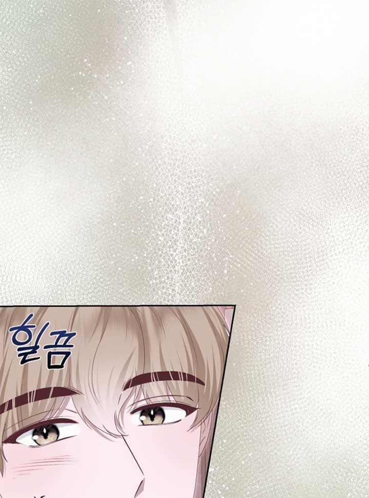 When Cinderella’s Magic Fades Away Chapter 71 - Page 27