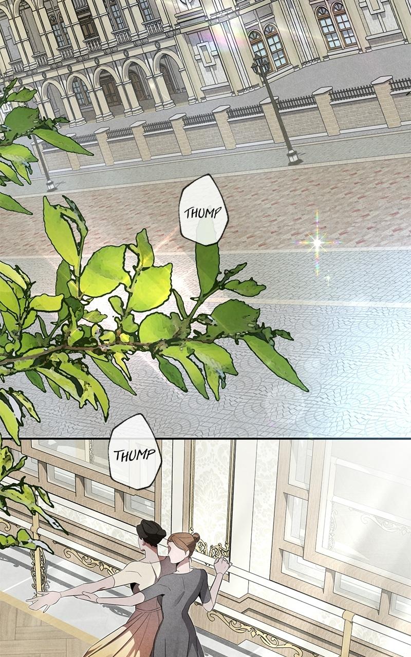 Where the Golden Rose Was Plucked - Chapter 4 - 21