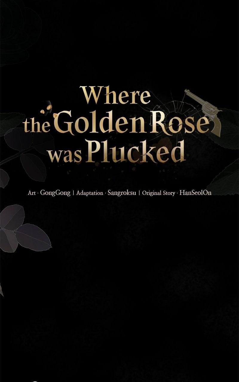 Where the Golden Rose Was Plucked - Chapter 8 - 13